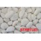 Balti gludinti akmenukai 20-40 mm (800 kg)